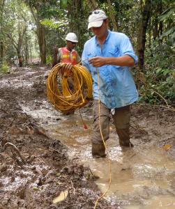 Laying of Seismic Cable in Jungles of Panama Laying of Seismic Cable in Jungles of Panama